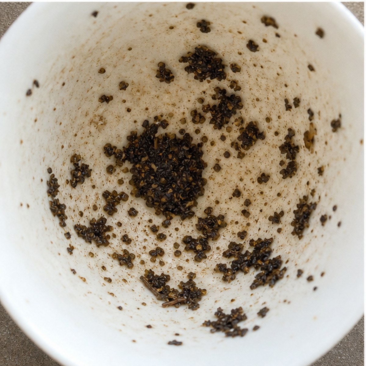 Turtle tea leaves cup variation two