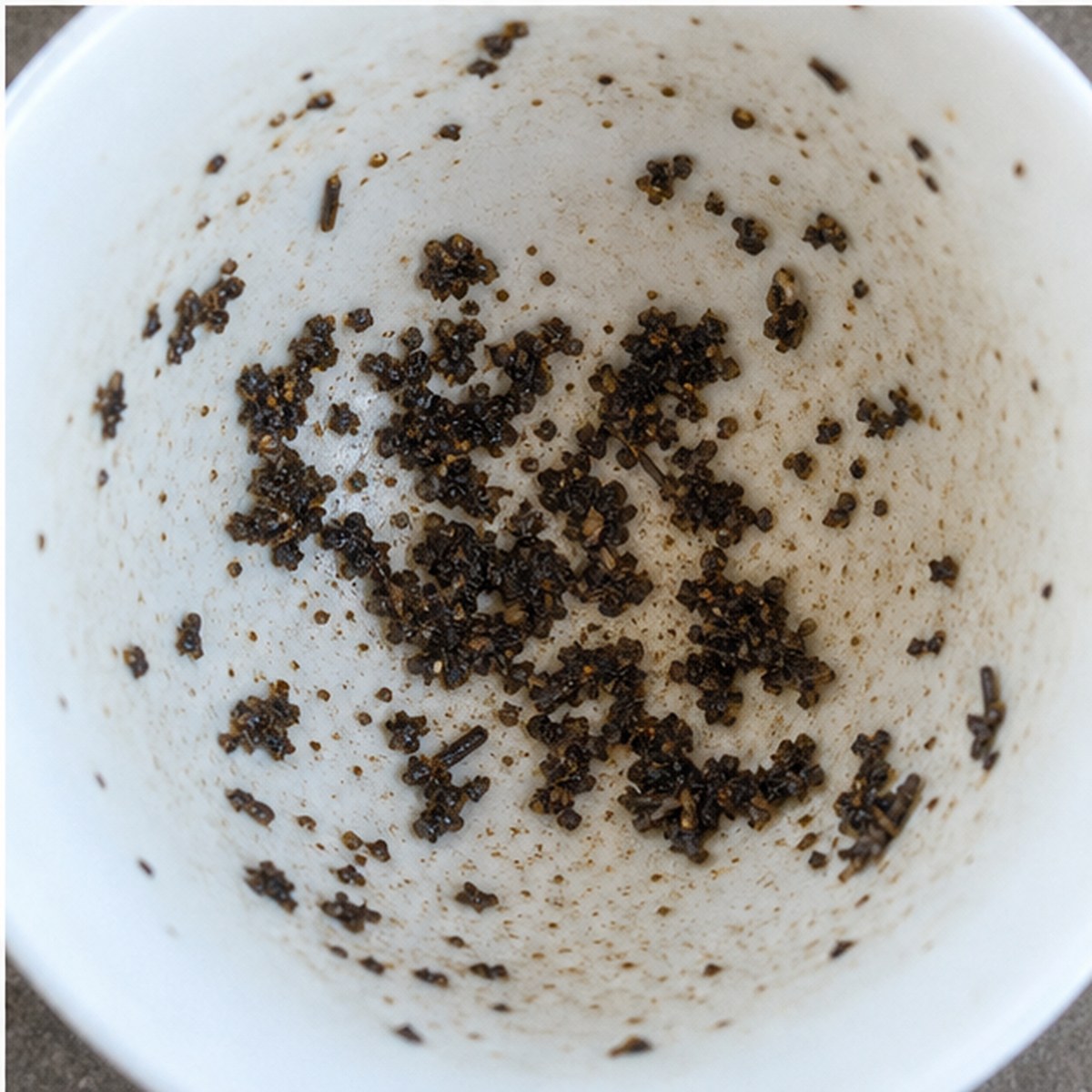 Turtle tea leaves cup variation three