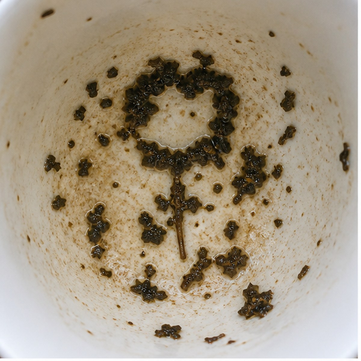 Venus tea leaf reading cup example