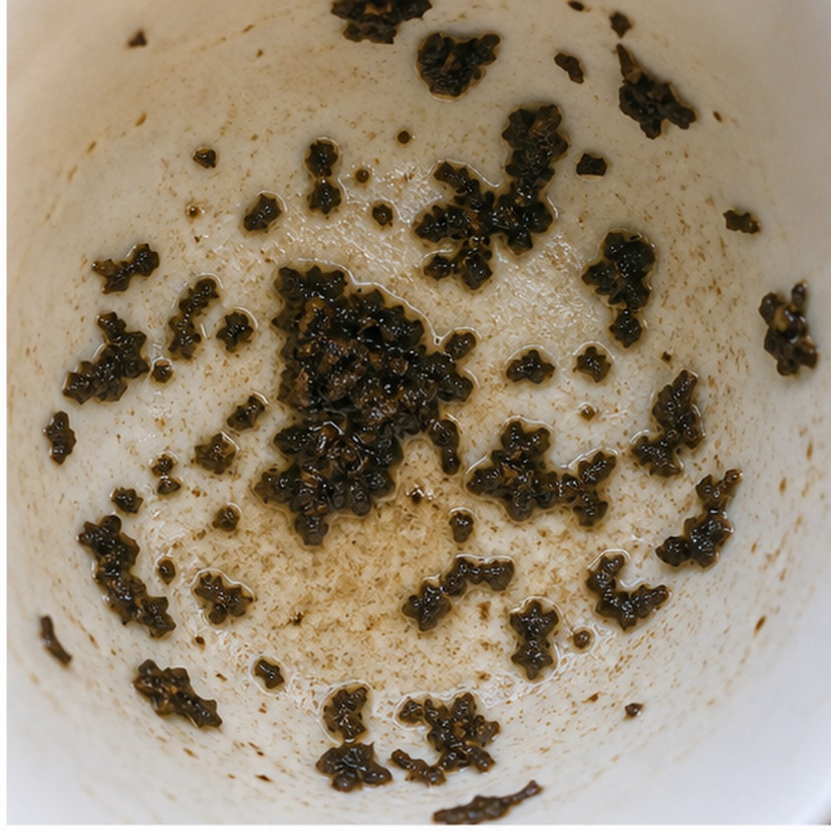 Venus tea leaves cup variation one