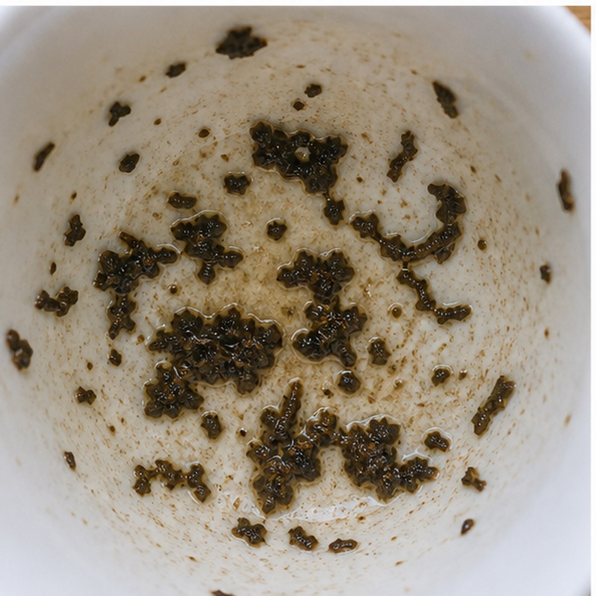 Venus tea leaves cup variation two