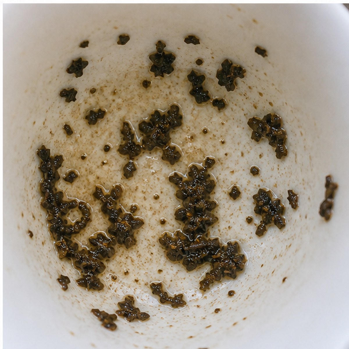 Venus tea leaves cup variation three