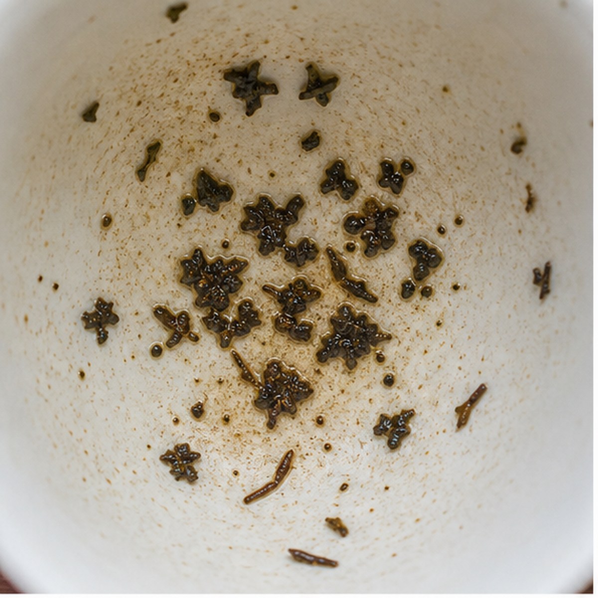 Violets tea leaf reading cup example