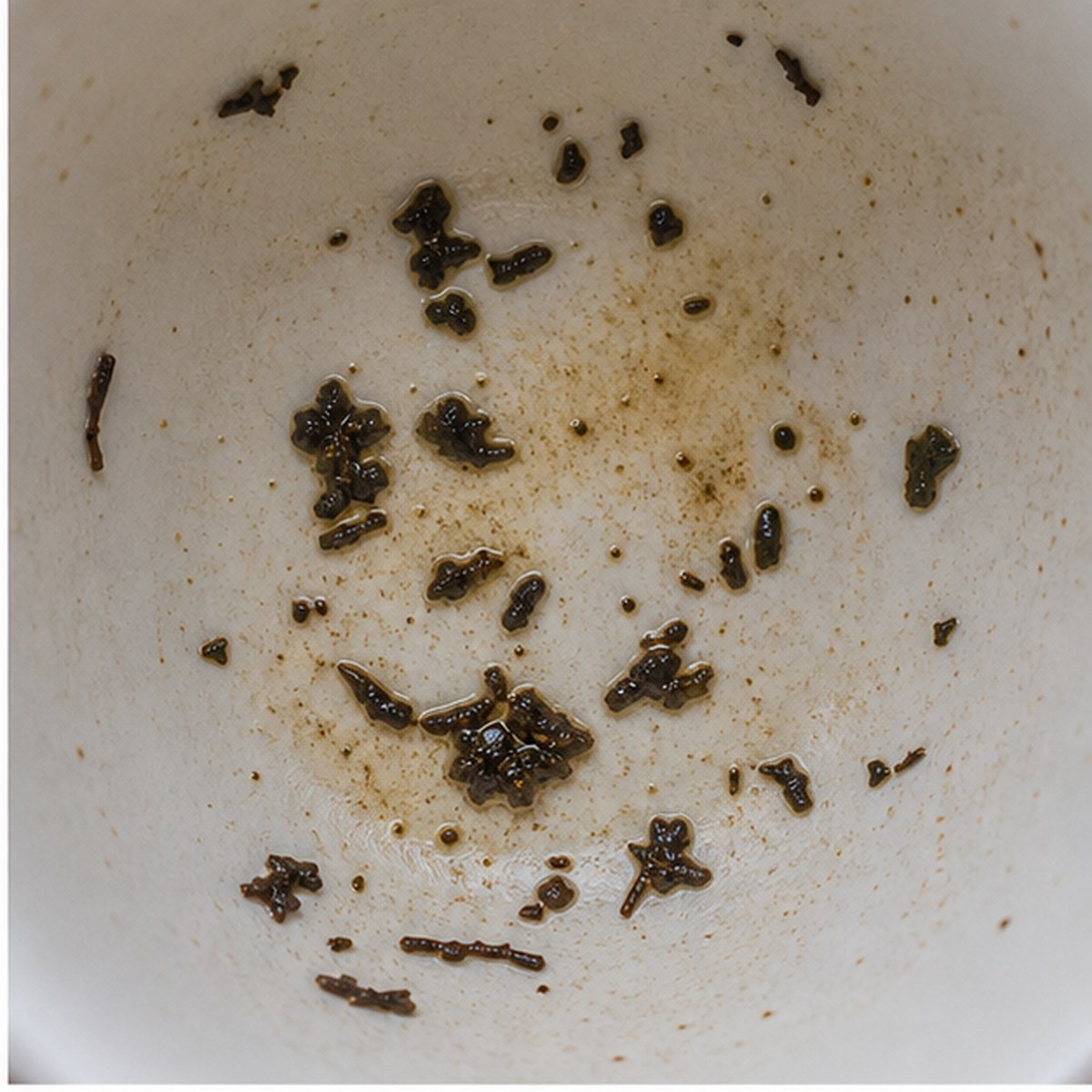 Violets tea leaves cup variation one