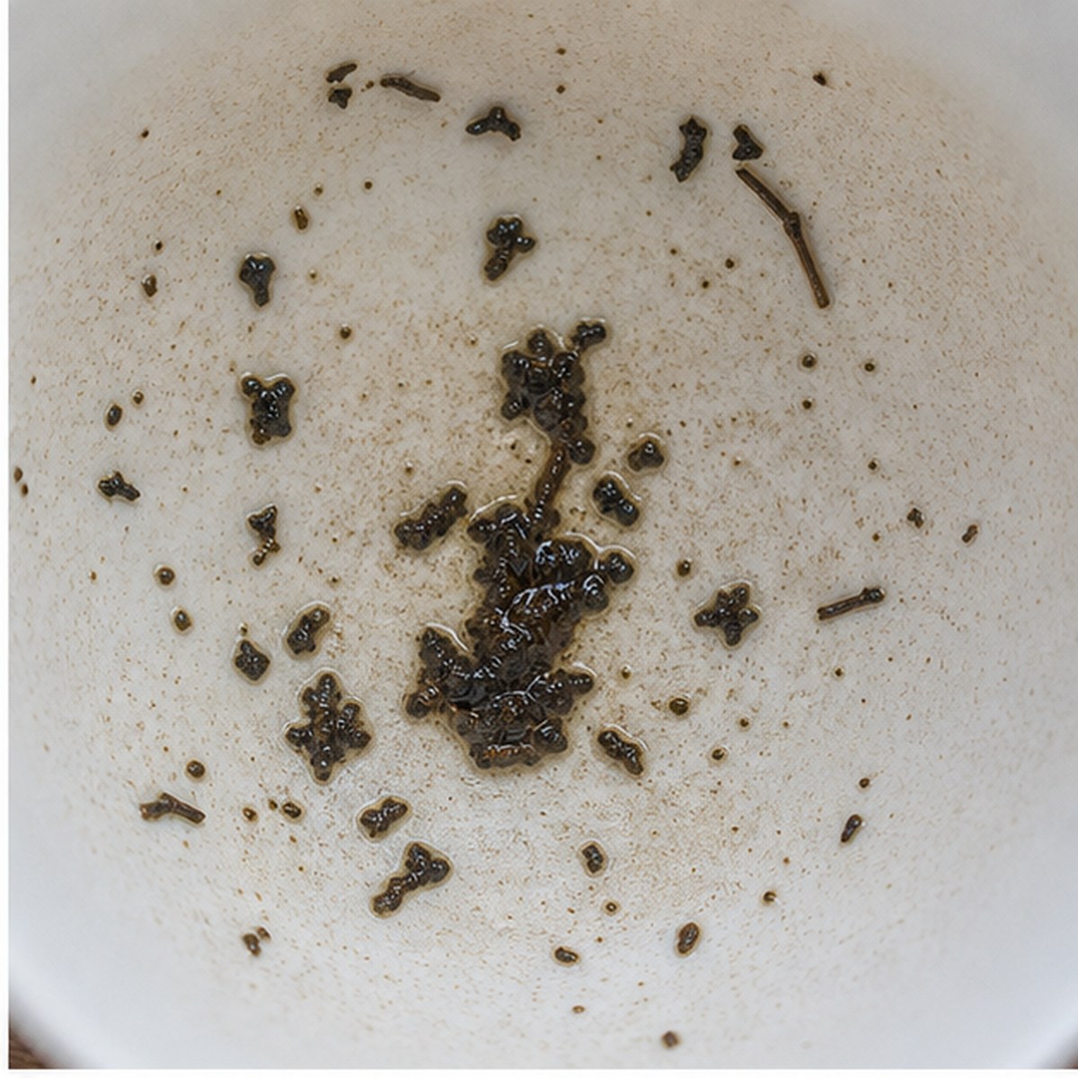 Violin tea leaves cup variation one