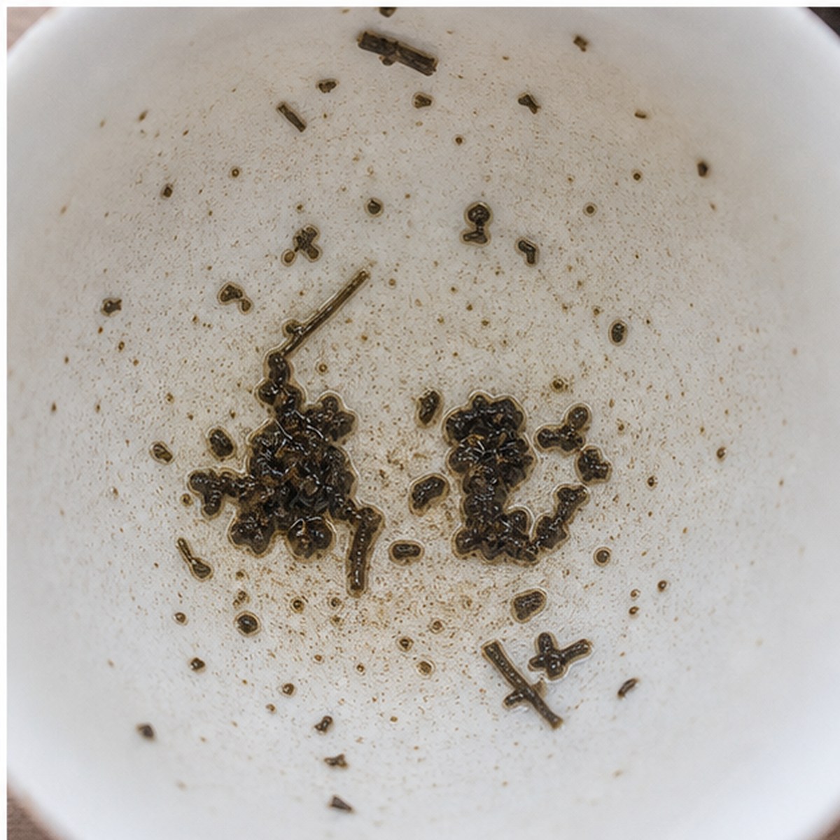 Vise tea leaves cup variation three