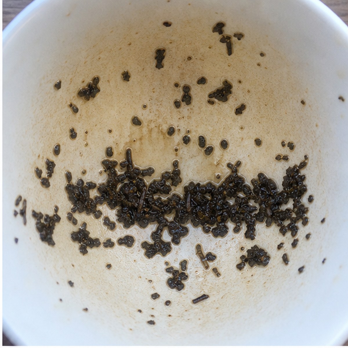 Wall tea leaves cup variation one