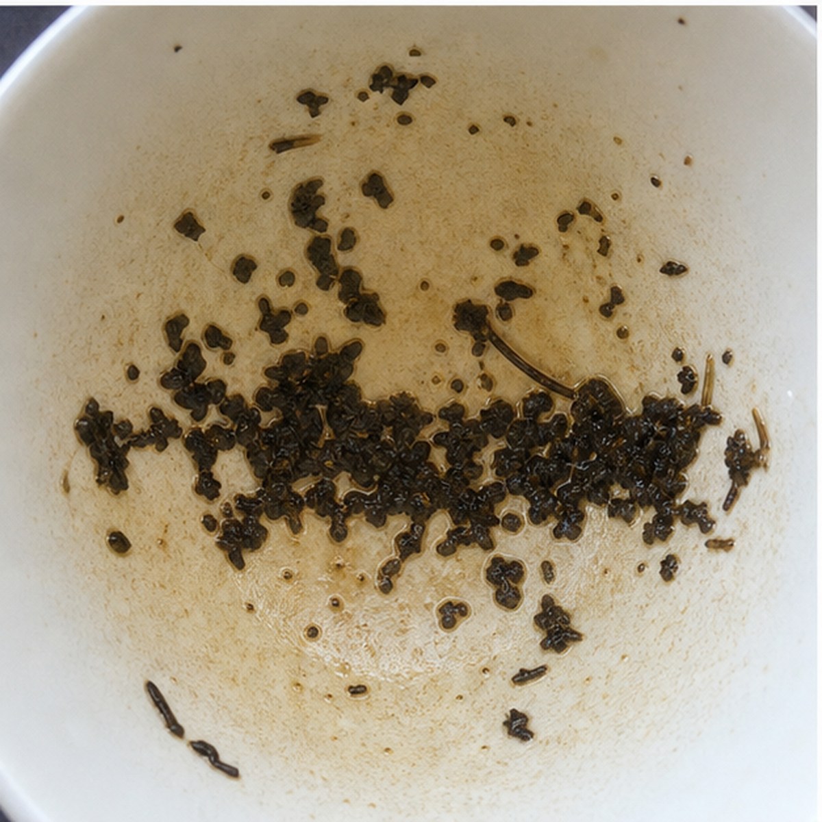 Wall tea leaves cup variation two