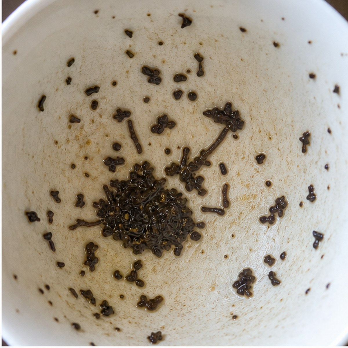 Warming Pan tea leaves cup variation one