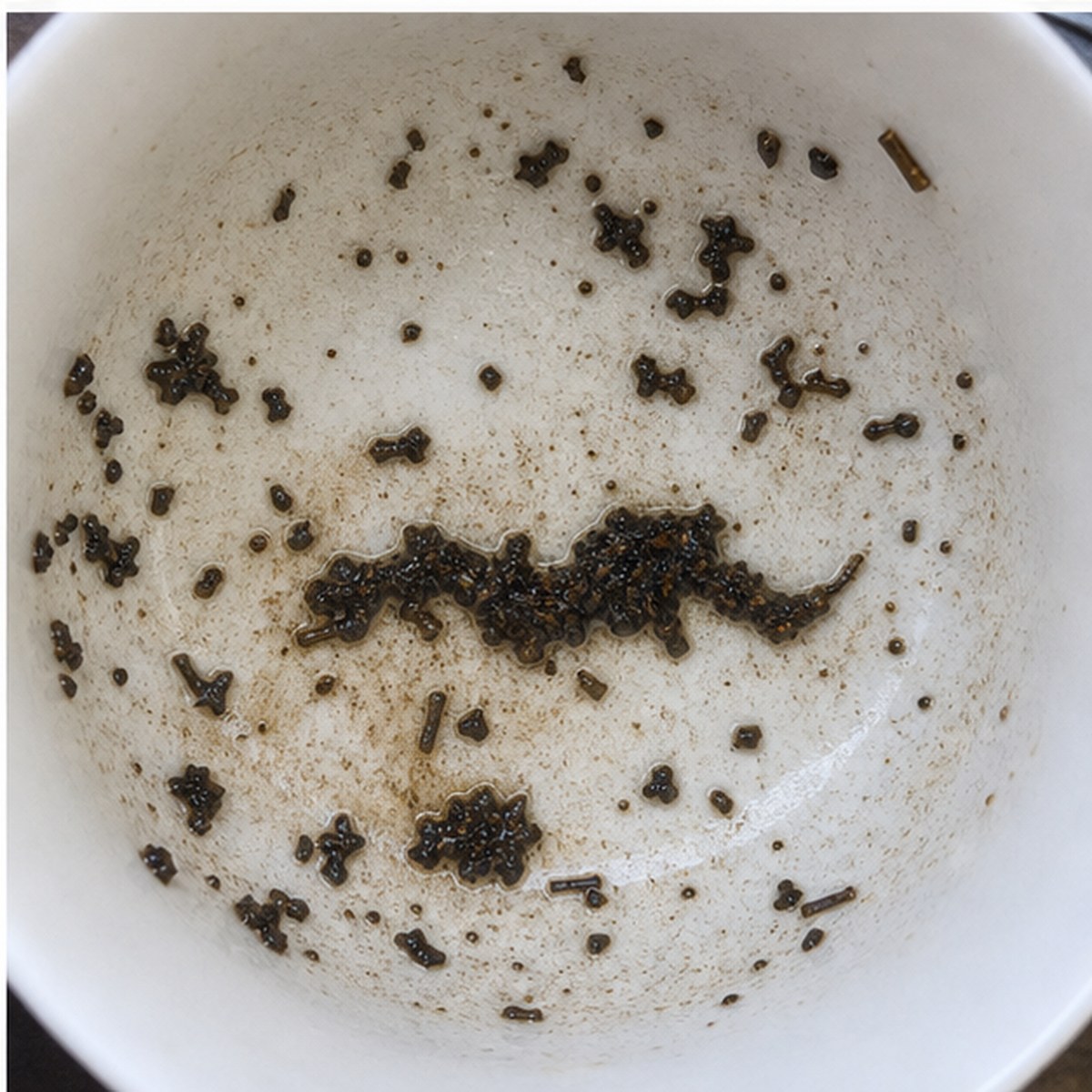 Weasel tea leaves cup variation three