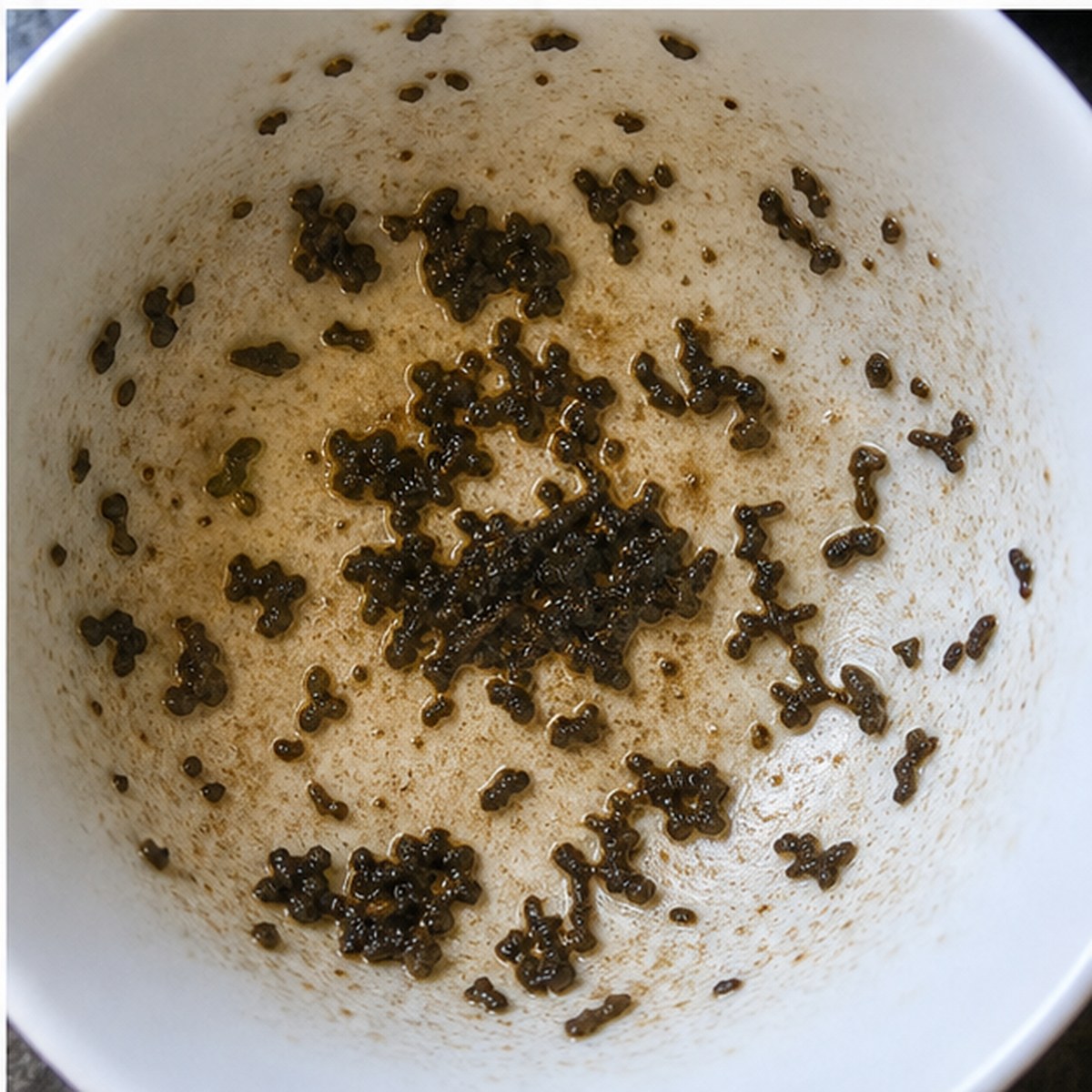 Whale tea leaves cup variation three