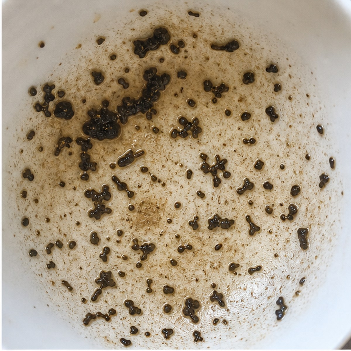 Wheel tea leaves cup variation one