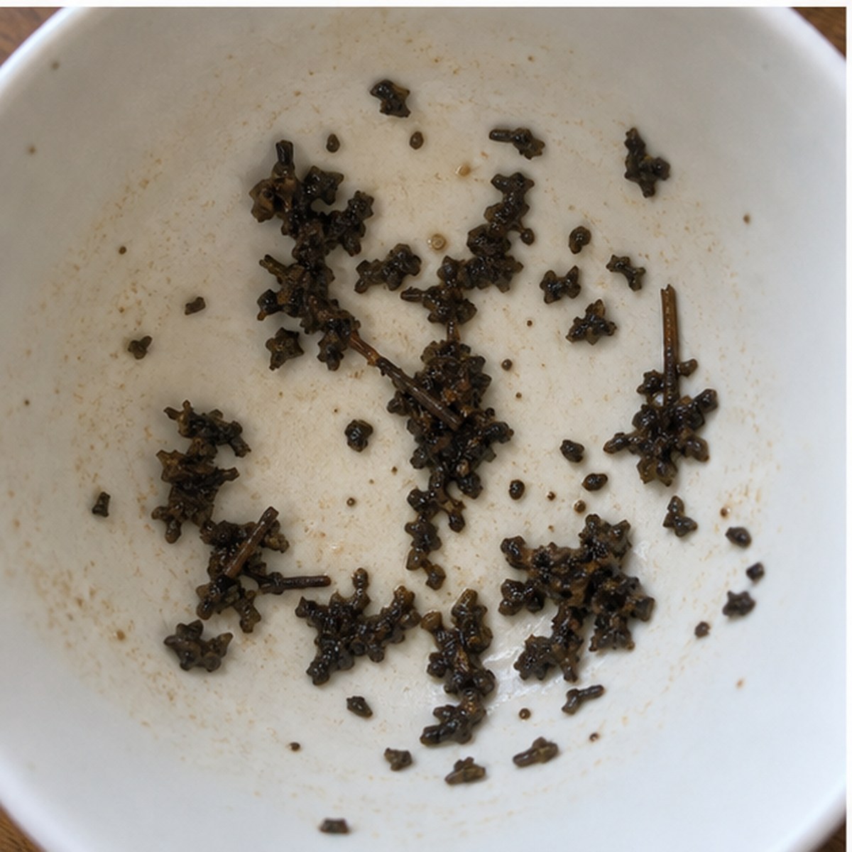 Window tea leaves cup variation two