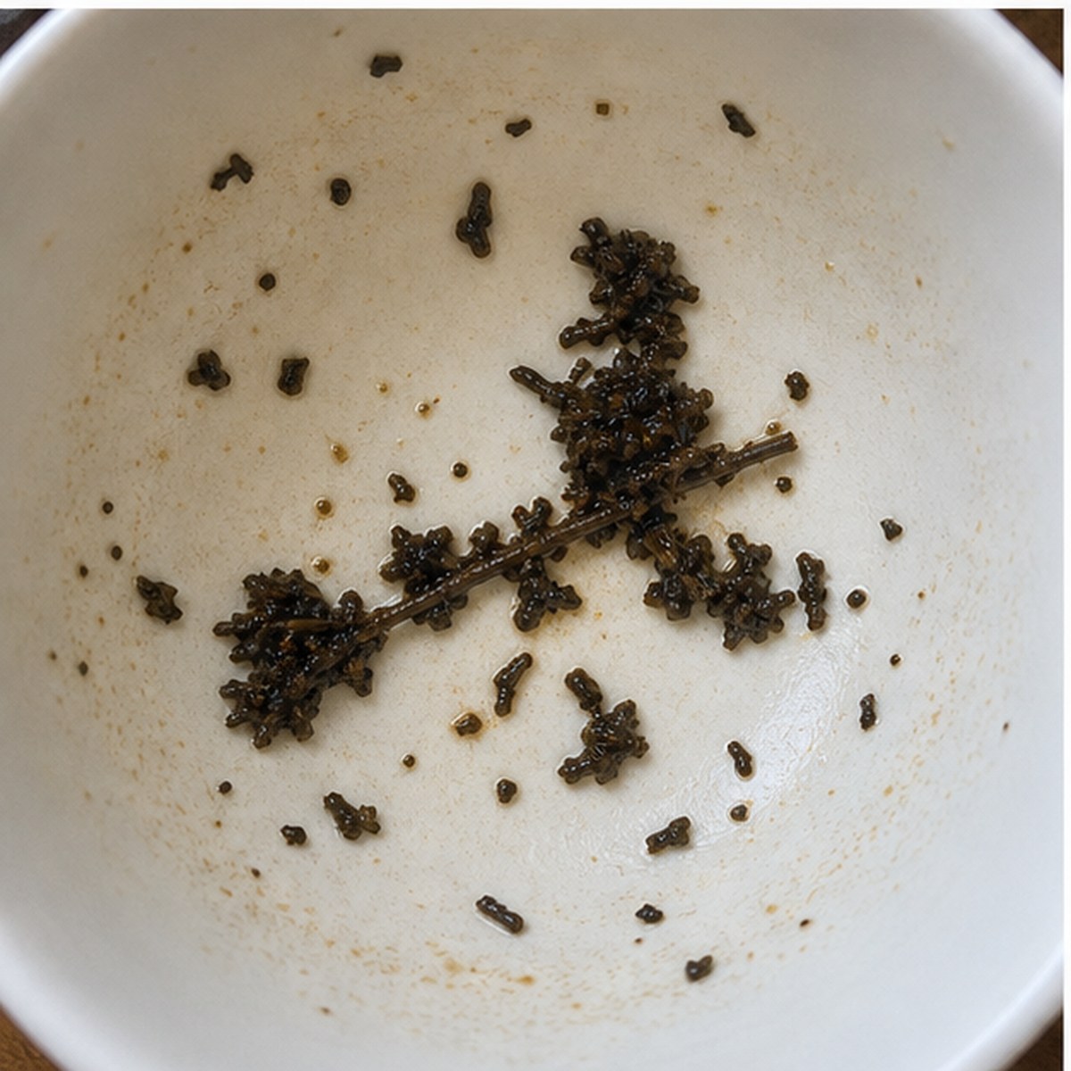 Witch On Broom tea leaves cup variation two