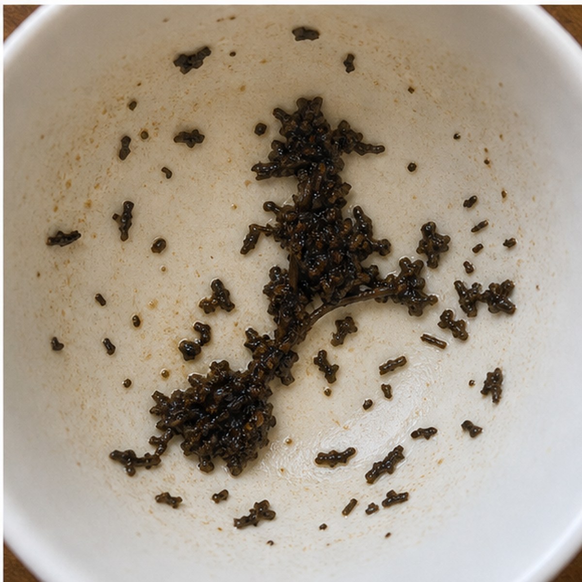 Witch On Broom tea leaves cup variation three
