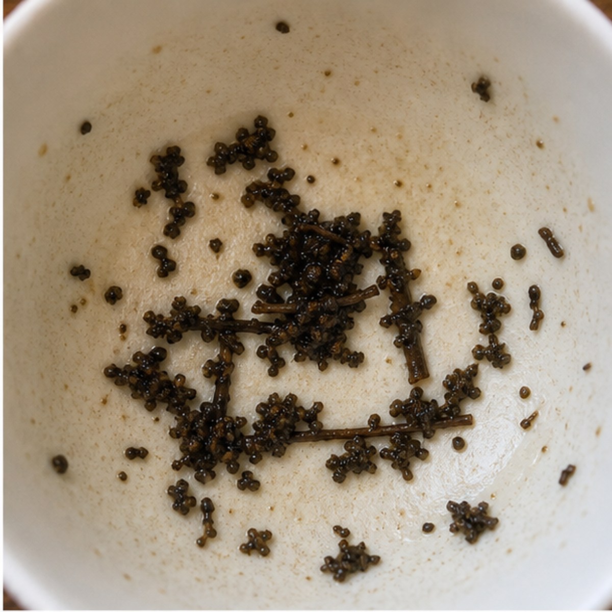 Witness Box tea leaves cup variation one