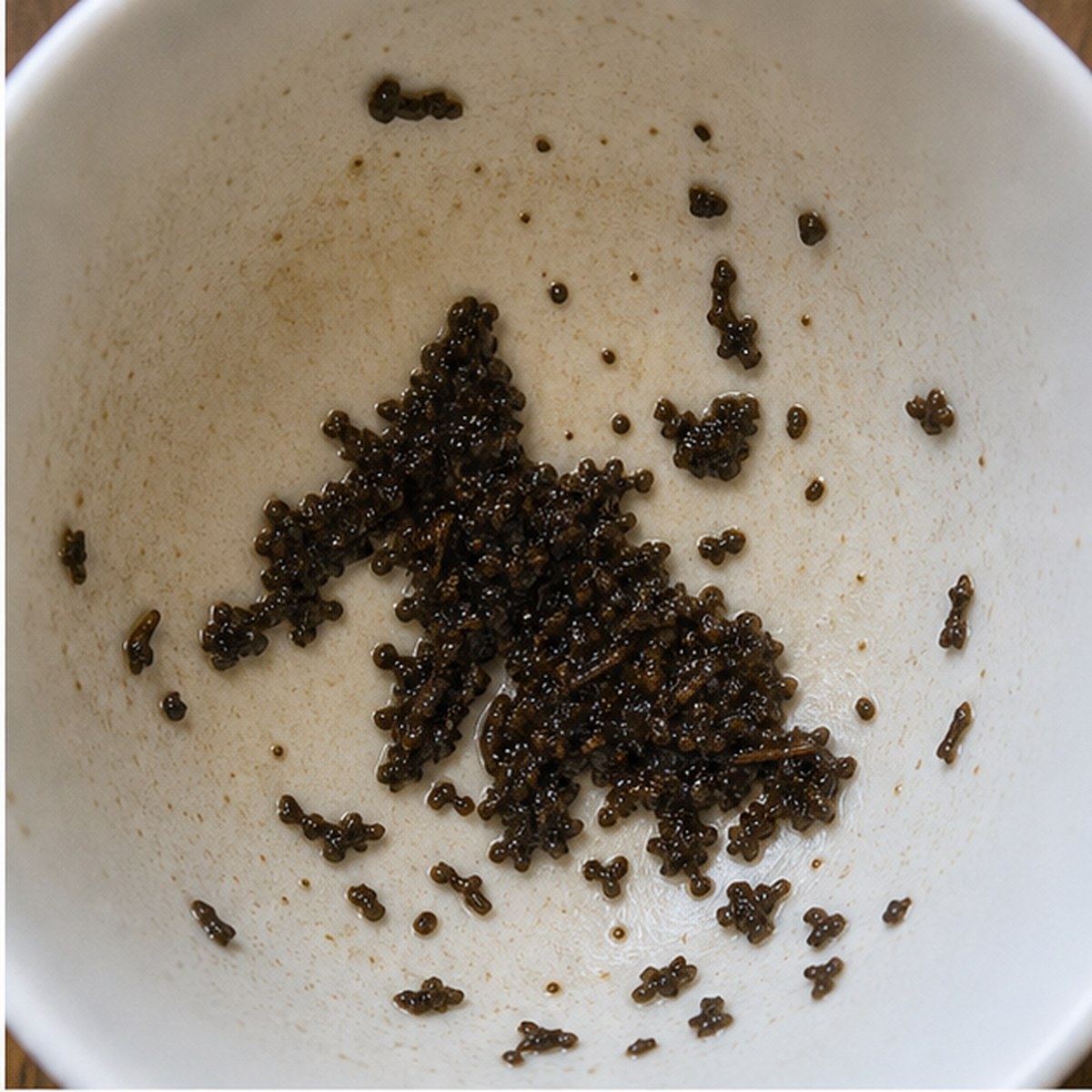 Wolf tea leaves cup variation one