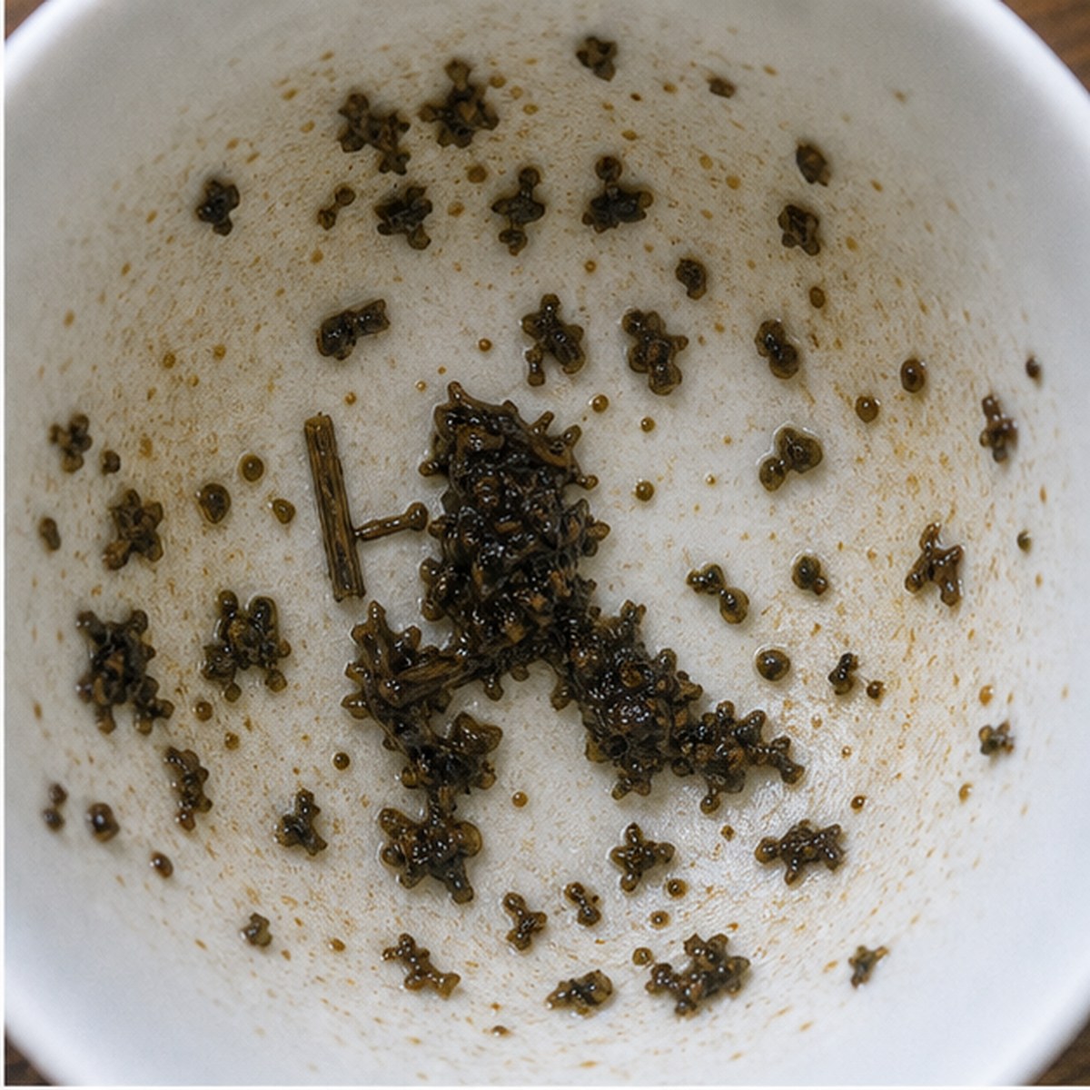 Woodpecker tea leaves cup variation one