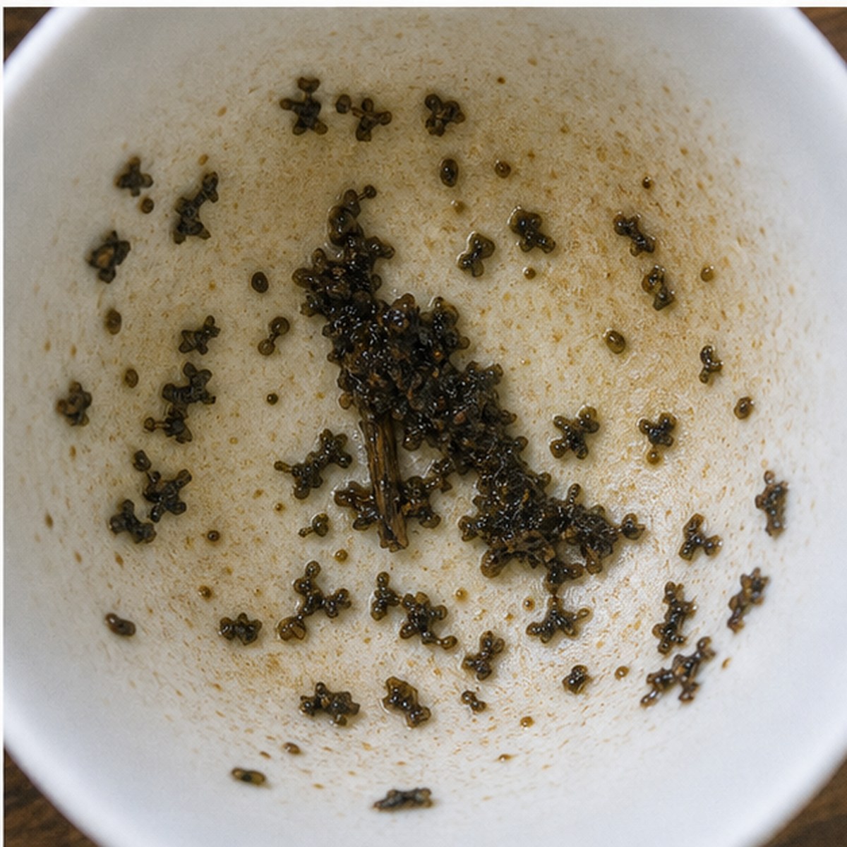 Woodpecker tea leaves cup variation three