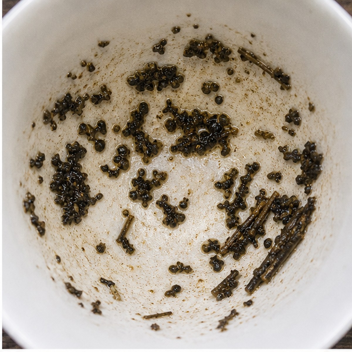 Zebra tea leaves cup variation one